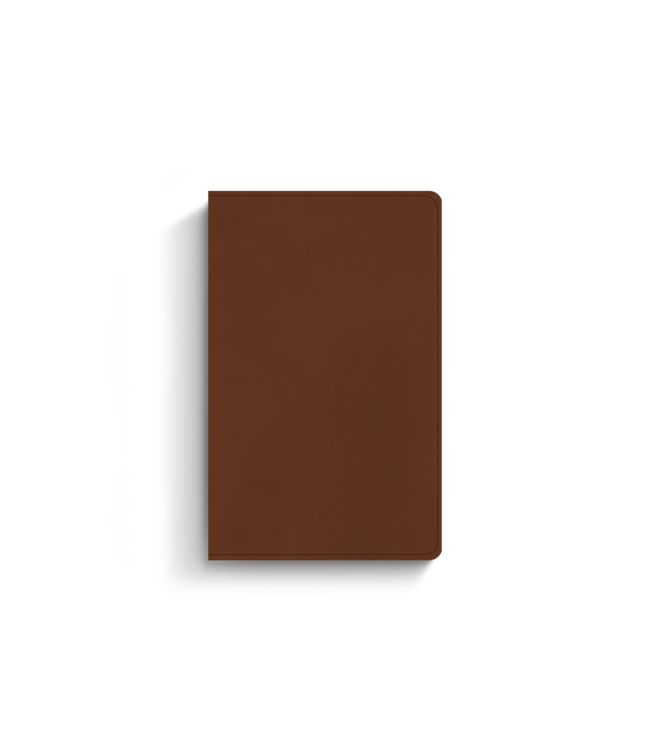 ESV Large Print Value Thinline Bible (TruTone®, Camel)