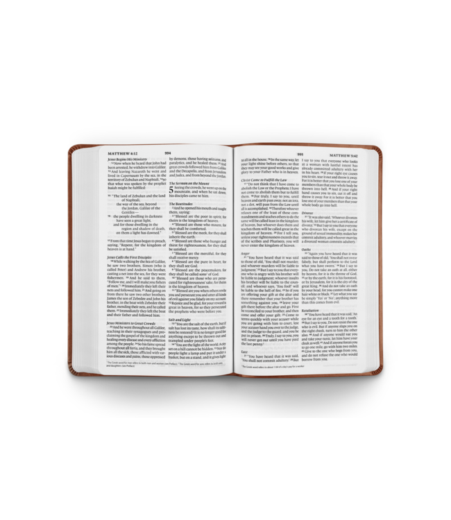 Esv Large Print Value Thinline Bible