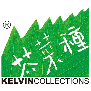 芥菜種 Kelvin Collections