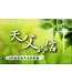 基石音樂 Stone Music 天父的信1（金句盒卡）