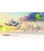 基石音樂 Stone Music 天父的信3——得勝篇（金句盒卡）