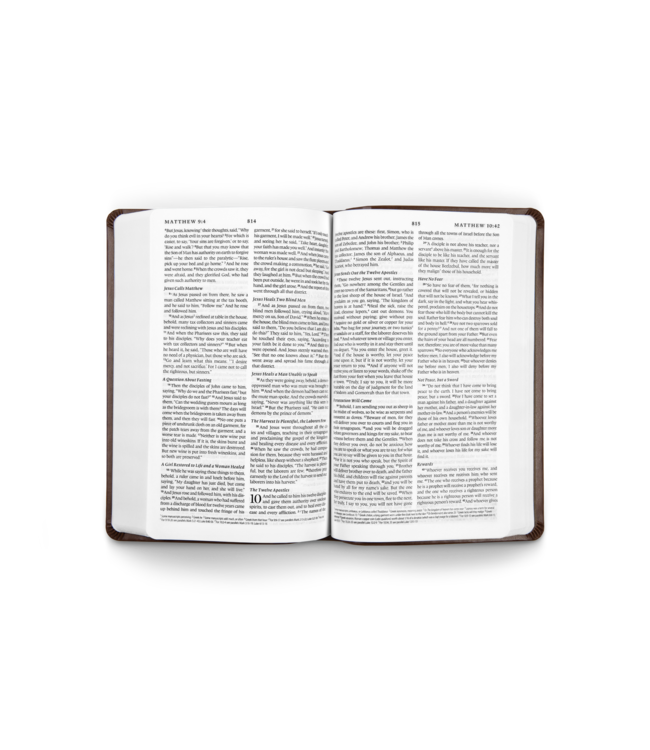 ESV Premium Gift Bible TruTone®, Brown