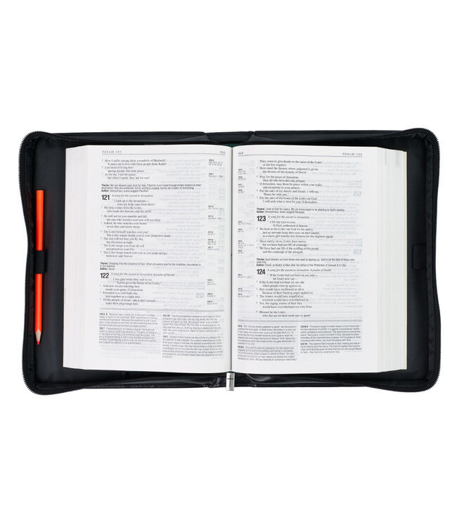 Be Strong Lion Two-Tone Classic Bible Cover - Joshua 1:9 仿皮拉鏈聖經套