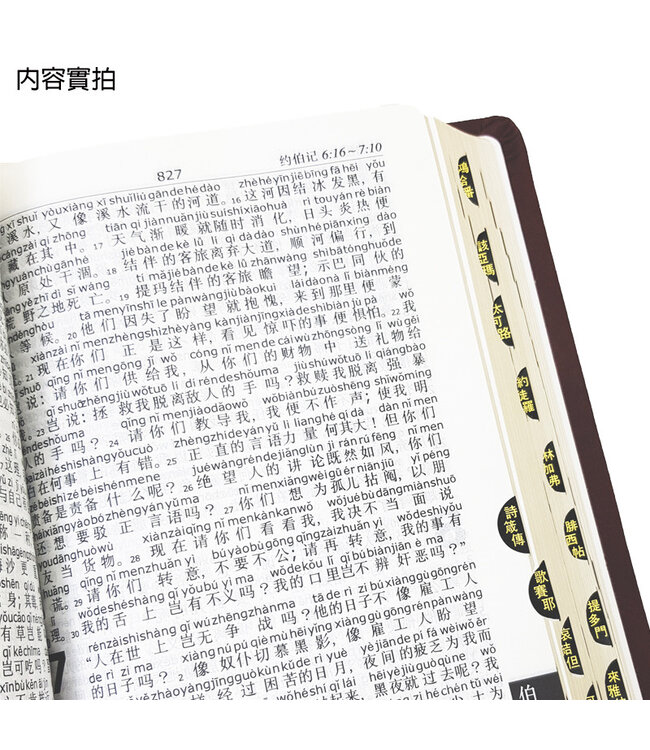圣经． 和合本． 中文拼音． 皮面金边拇指索引（简体）