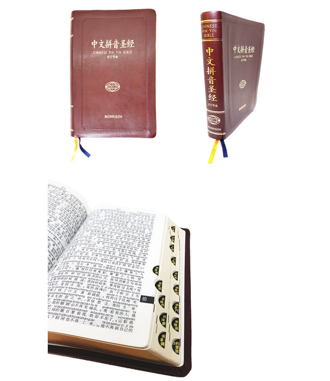 圣经． 和合本． 中文拼音． 皮面金边拇指索引（简体）