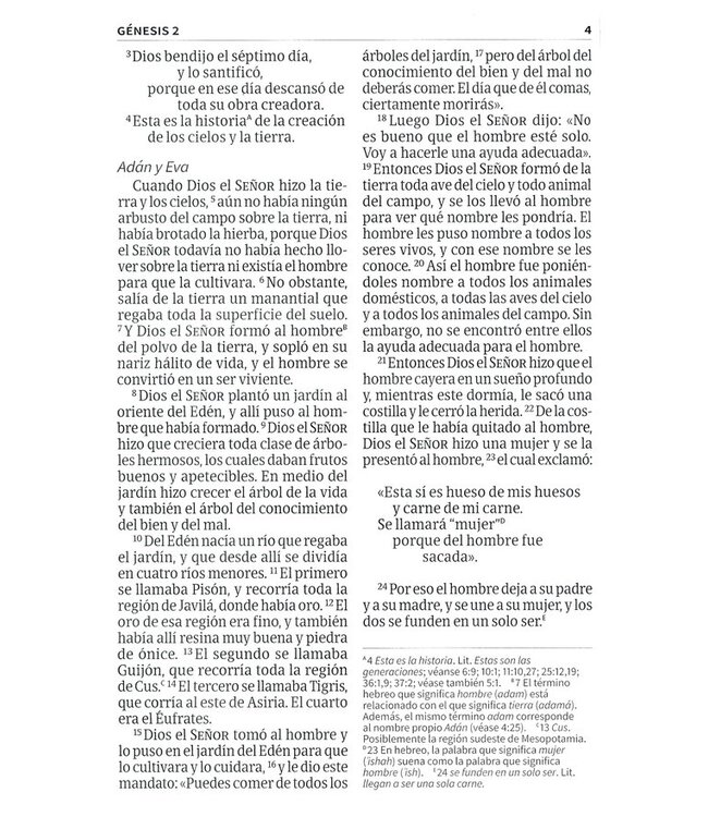 NVI Biblia Letra Súper Gigante negro, piel fabricada con índice (Span-NIV Super Giant Print Reference Bible)