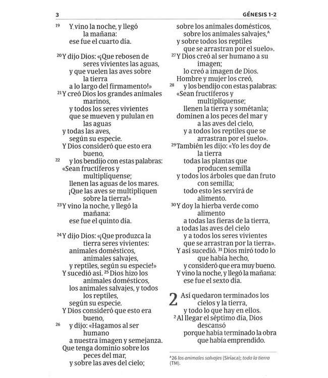 NVI Biblia Letra Súper Gigante negro, piel fabricada con índice (Span-NIV Super Giant Print Reference Bible)