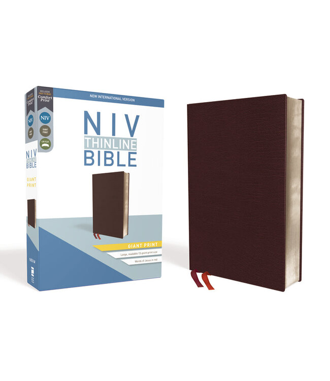 NIV, Thinline Bible, Giant Print, Red Letter, Comfort Print, Burgundy Bonded Leather