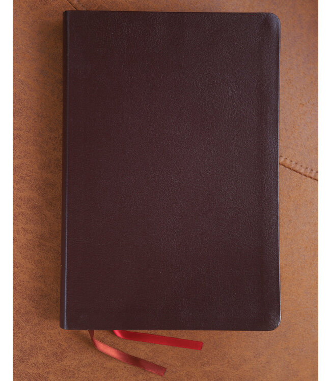 NIV, Thinline Bible, Giant Print, Red Letter, Comfort Print, Burgundy Bonded Leather
