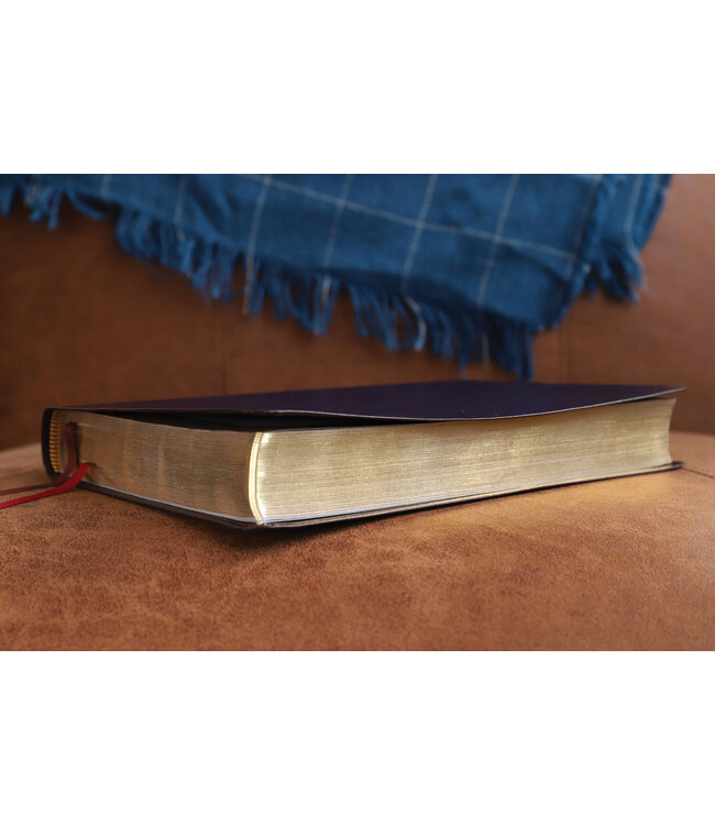 NIV, Thinline Bible, Giant Print, Red Letter, Comfort Print, Burgundy Bonded Leather