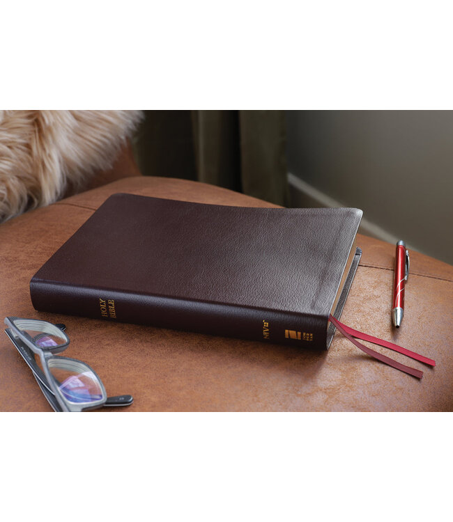 NIV, Thinline Bible, Giant Print, Red Letter, Comfort Print, Burgundy Bonded Leather