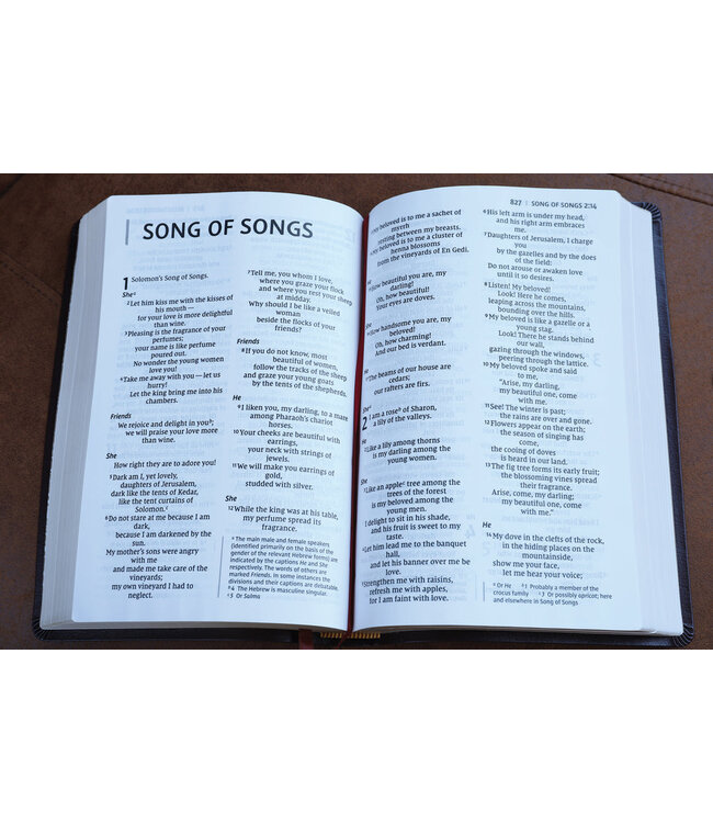 NIV, Thinline Bible, Giant Print, Red Letter, Comfort Print, Burgundy Bonded Leather