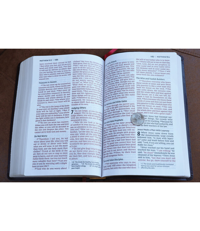 NIV, Thinline Bible, Giant Print, Red Letter, Comfort Print, Burgundy Bonded Leather