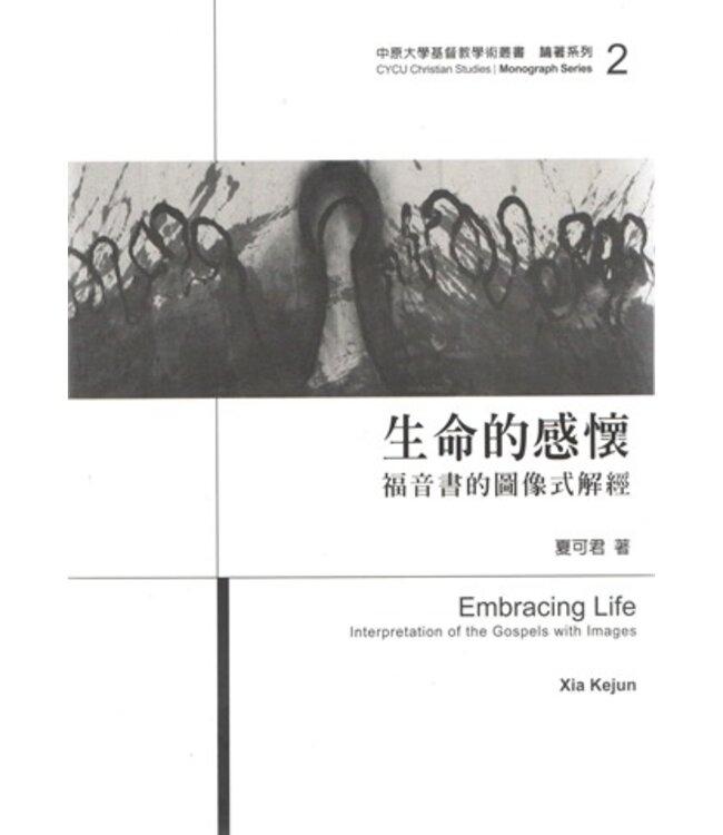 生命的感懷：福音書的圖像式解經