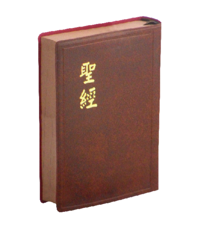 聖經．和合本．上帝版．輕便型．咖啡色膠面咖啡邊