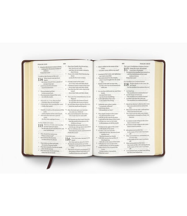 ESV Large Print Bible - TruTone, Deep Brown