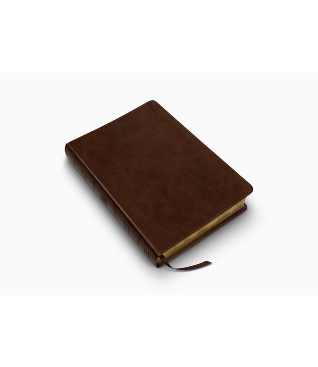 ESV Large Print Bible - TruTone, Deep Brown