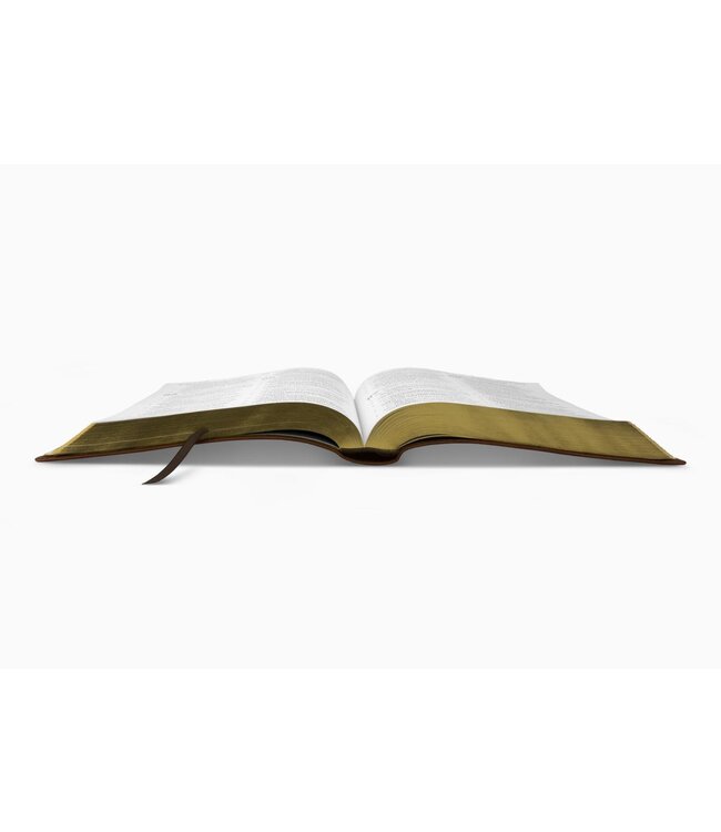 ESV Large Print Bible - TruTone, Deep Brown