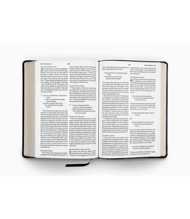ESV Large Print Bible - TruTone, Black