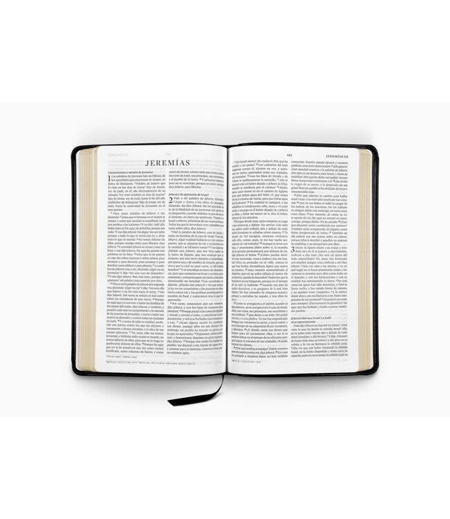 La Santa Biblia RVR 1960, Tamaño Delgado - TruTone, Negro