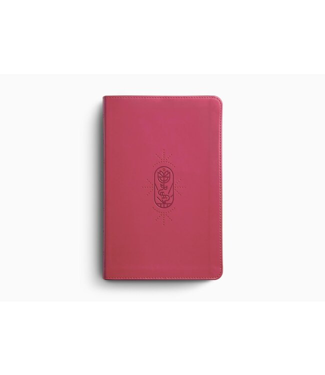 ESV Kid's Bible, Thinline - TruTone, Berry, The True Vine Design