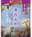 邁向成熟：認識普通書信——3D研經系列（套裝）