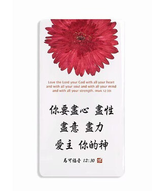 信望愛書房 Faith Hope Love Bookstore 座枱擺設 C3006 你要盡心...