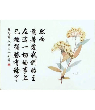 信望愛書房 Faith Hope Love Bookstore 經文牌飾品 C2037 然而靠著愛我們的主