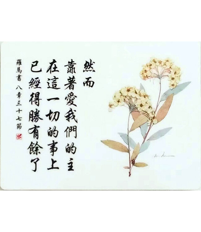 經文牌飾品 C2037 然而靠著愛我們的主