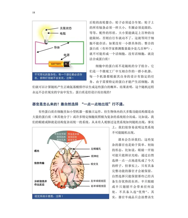 进化与创造的真相 | Truth of evolution and creation
