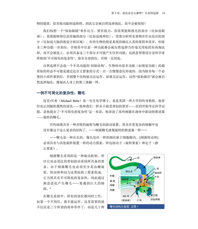 进化与创造的真相 | Truth of evolution and creation