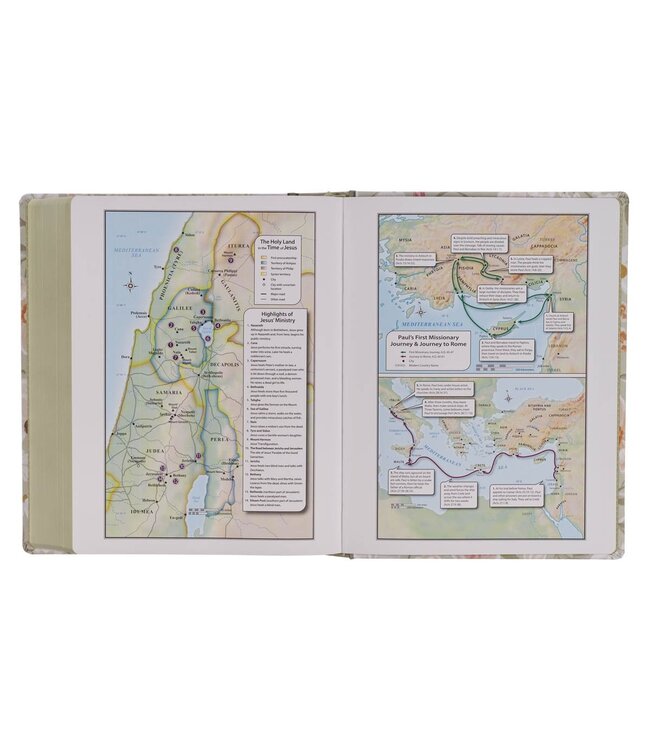 Sage Green Floral Hardcover Amelia Collection Large Print King James Version Note-taking Bible - Luke 22:42