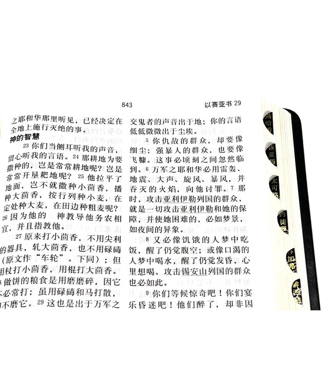 圣经．和合本．特大字版．黑色皮面索引（简体）