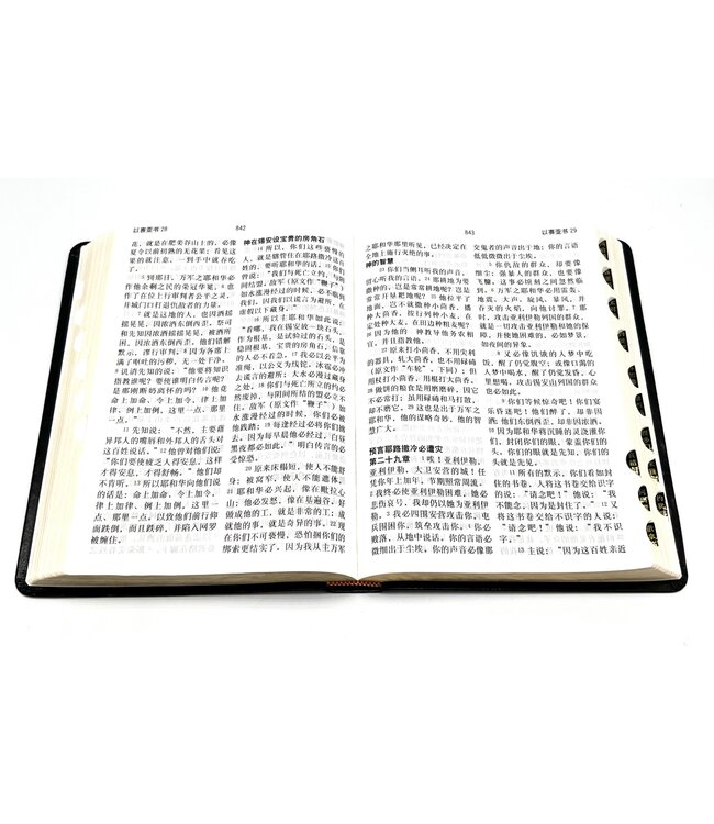 圣经．和合本．特大字版．黑色皮面索引（简体）