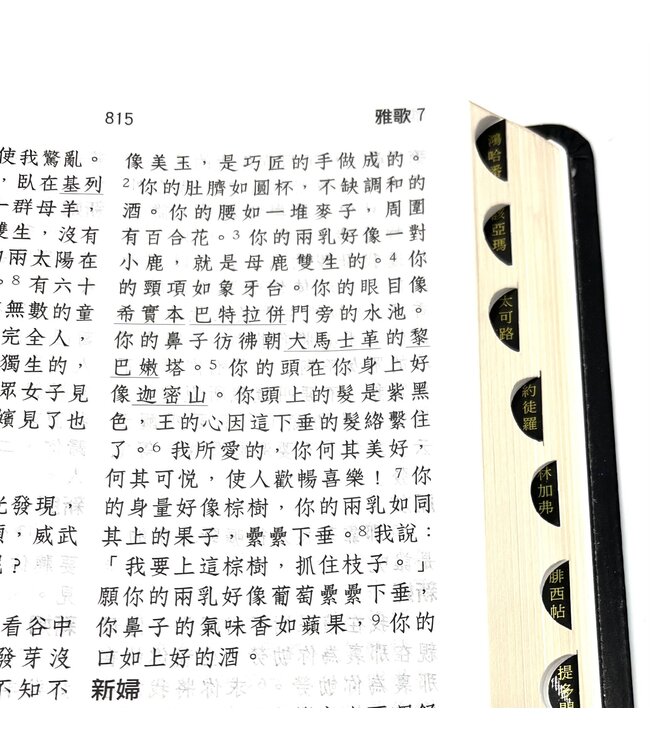 聖經．和合本．特大字版．黑色皮面索引（繁體） | AFC Extra Large CUV Bible Leather Thumb index Trad.