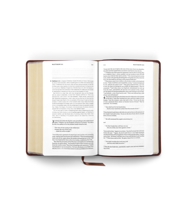 ESV Daily Reading Bible: A Guided Journey through God's Word - TruTone, Brown