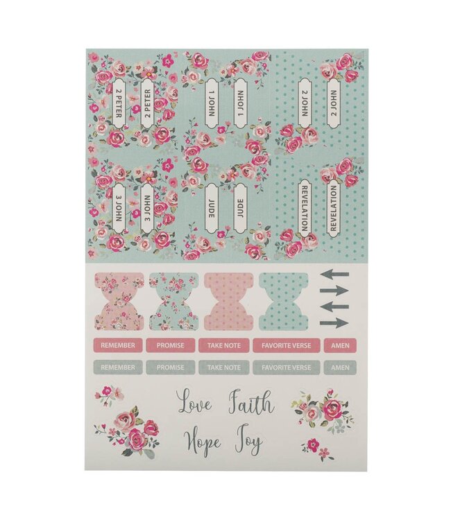 Pink and Blue Old and New Testament Bible Indexing Tabs