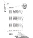一步一步學以賽亞書：展翅上騰（下）