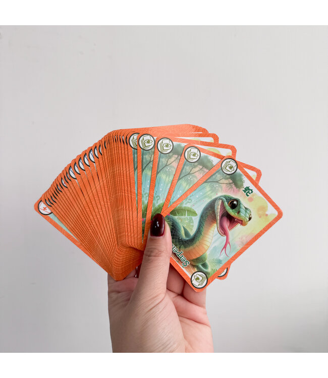 救贖君王故事性桌遊（一）真理系列