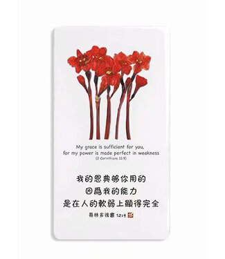 信望愛書房 Faith Hope Love Bookstore 經文牌飾品 C3007 我的恩典夠你用