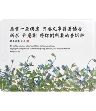 信望愛書房 Faith Hope Love Bookstore 經文牌飾品 C2026 應當一無掛慮