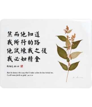 信望愛書房 Faith Hope Love Bookstore 經文牌飾品 C2028 然而他知道