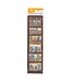 Books of the Bible Sunday School/Teacher's Bookmark Set | 聖經書卷書簽（一包10張）