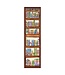 Books of the Bible Sunday School/Teacher's Bookmark Set | 聖經書卷書簽（一包10張）