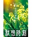 默想時刻（一套5冊）