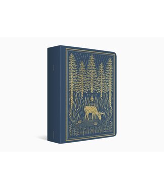 Crossway ESV Illuminated Scripture Journal: Psalms-Blue Softcover