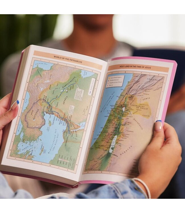 NKJV, Gift and Award Bible, Red Letter Edition, Comfort Print: Holy Bible, New King James Version