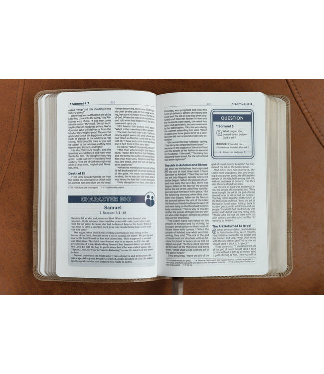 NIV Teen Study Bible/Compact (Comfort Print)-Brown Leathersoft