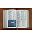 NIV Teen Study Bible/Compact (Comfort Print)-Brown Leathersoft
