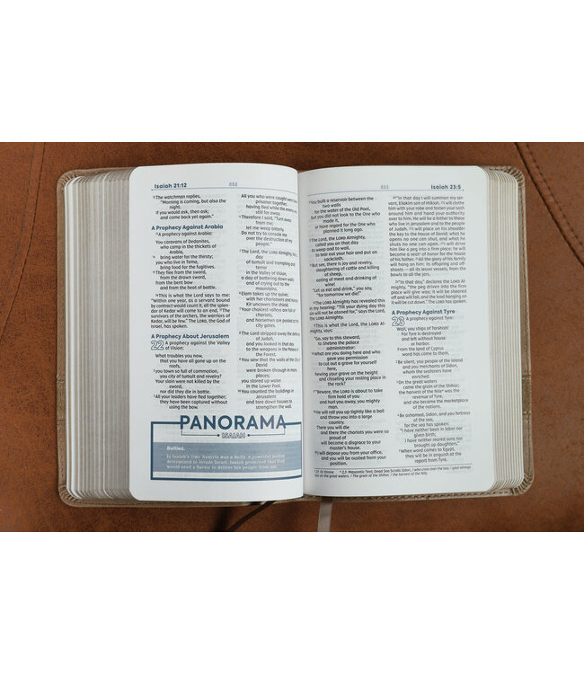 NIV Teen Study Bible/Compact (Comfort Print)-Brown Leathersoft